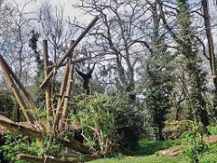 149 BIO PARC DE DOUE LA FONTAINE 7- 2016_000015